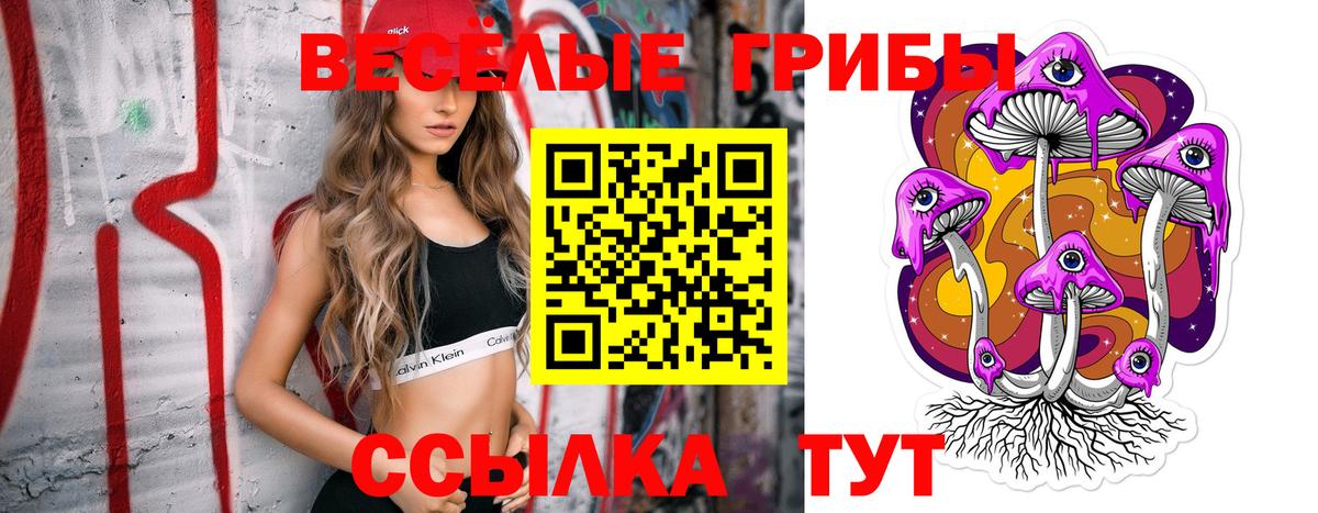 Советск  Галлюциногенные грибы Psilocybine cubensis  Псилоцибиновые грибы мицелий  Вход с VPN 